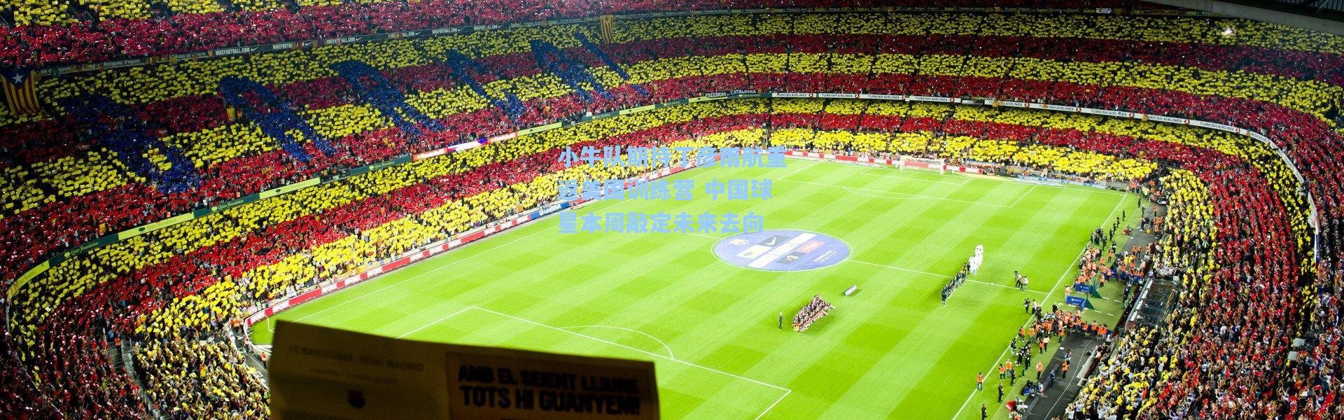 小牛队期待丁彦雨航重返美国训练营 中国球星本周敲定未来去向