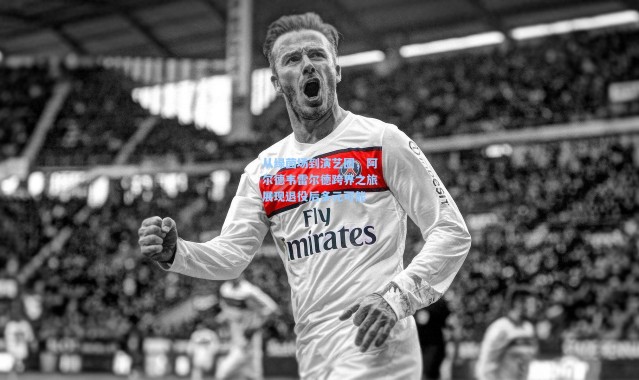 从绿茵场到演艺圈，阿尔德韦雷尔德跨界之旅展现退役后多元可能