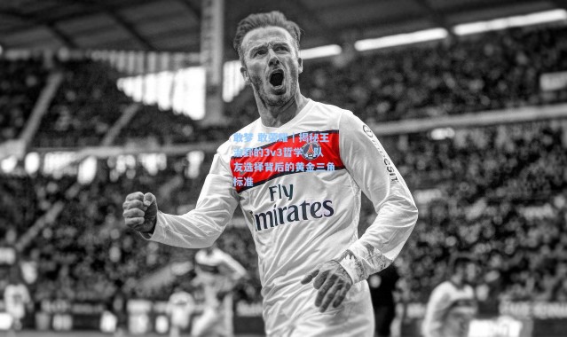 敢梦 敢荣耀｜揭秘王治郅的3v3哲学，队友选择背后的黄金三角标准