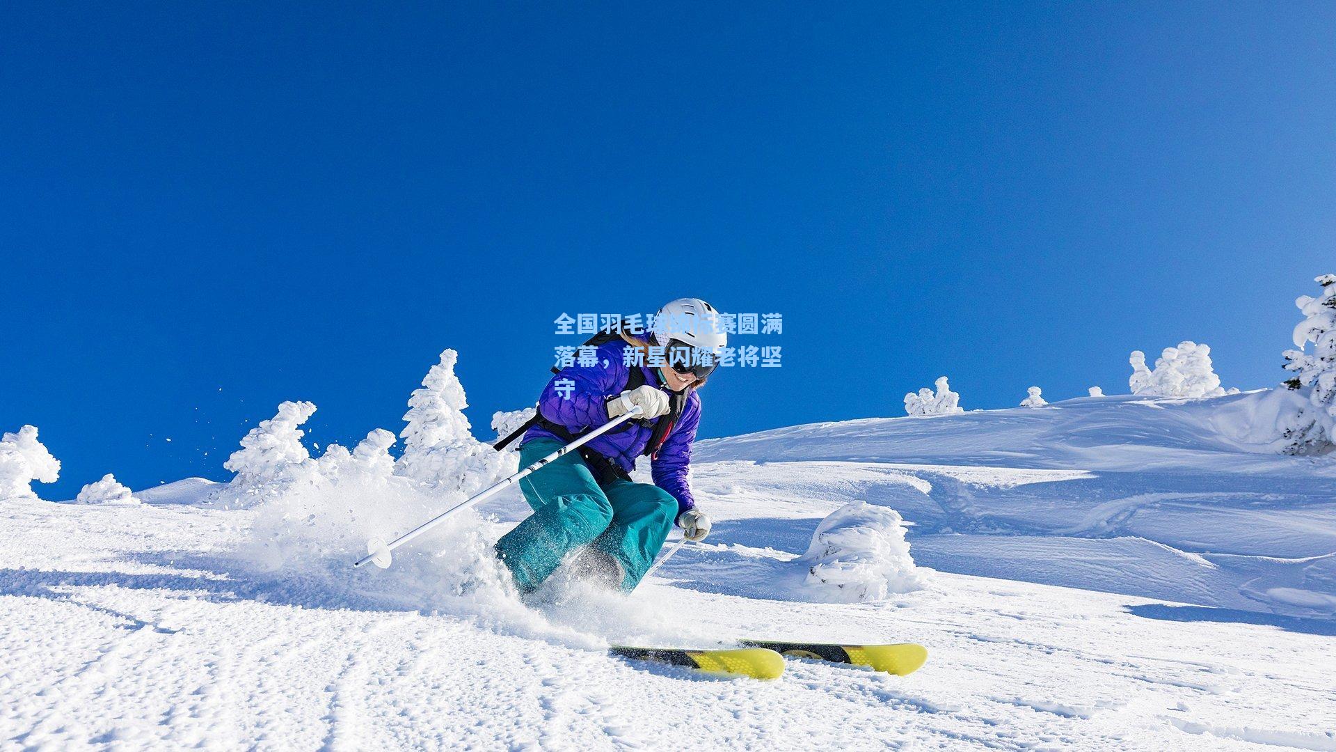 全国羽毛球锦标赛圆满落幕，新星闪耀老将坚守