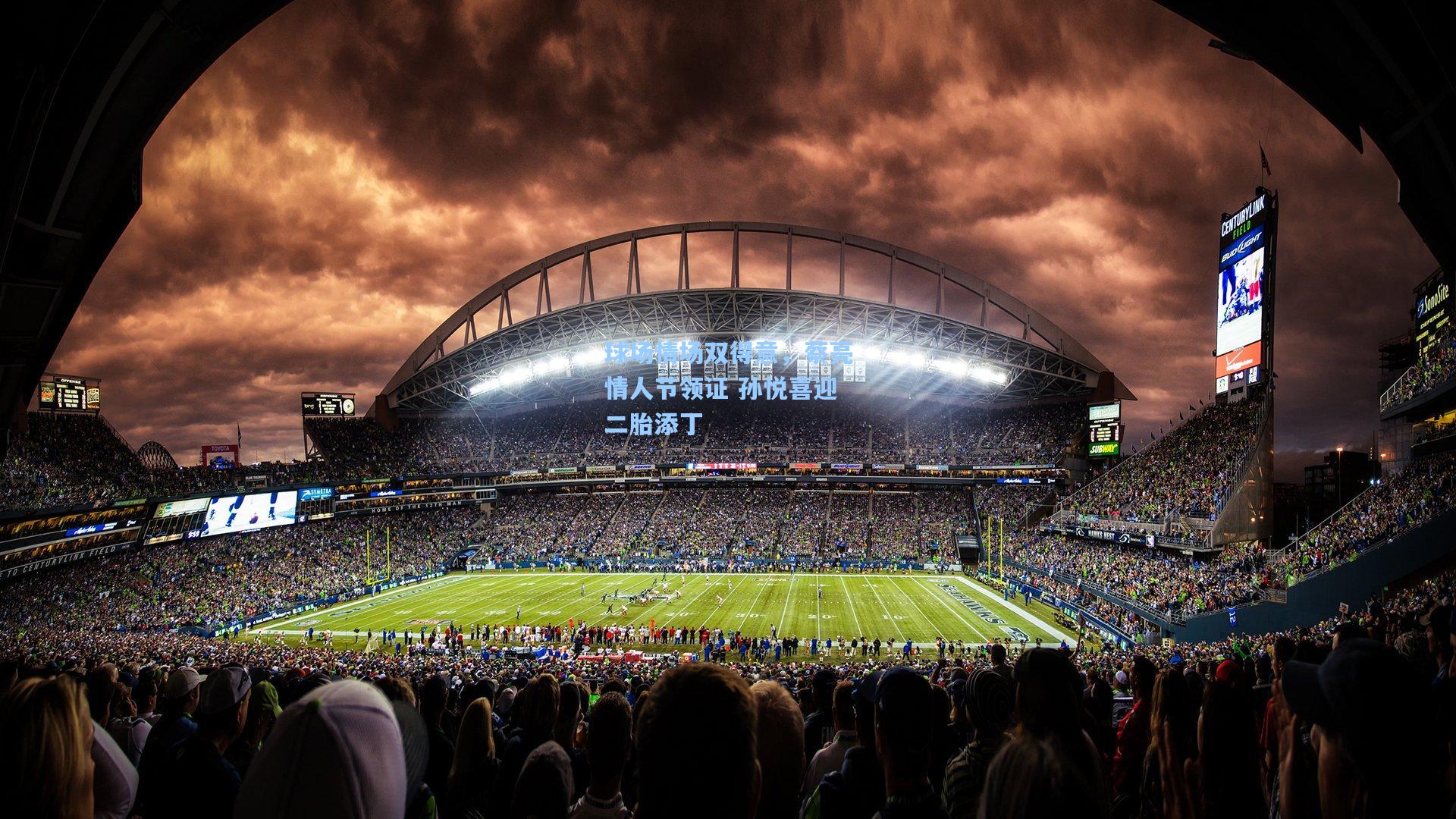 球场情场双得意，蔡亮情人节领证 孙悦喜迎二胎添丁